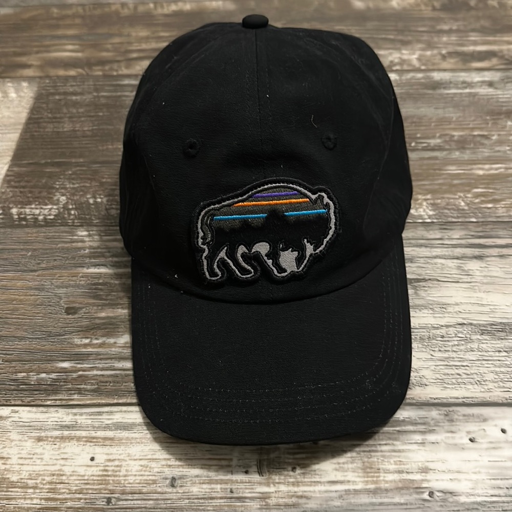 patagonia cap